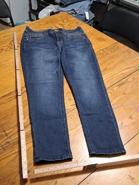 DEMOCRACY Jean Womens 6 BLUE Preowned Denim Pants Used AB TECHNOLOGY